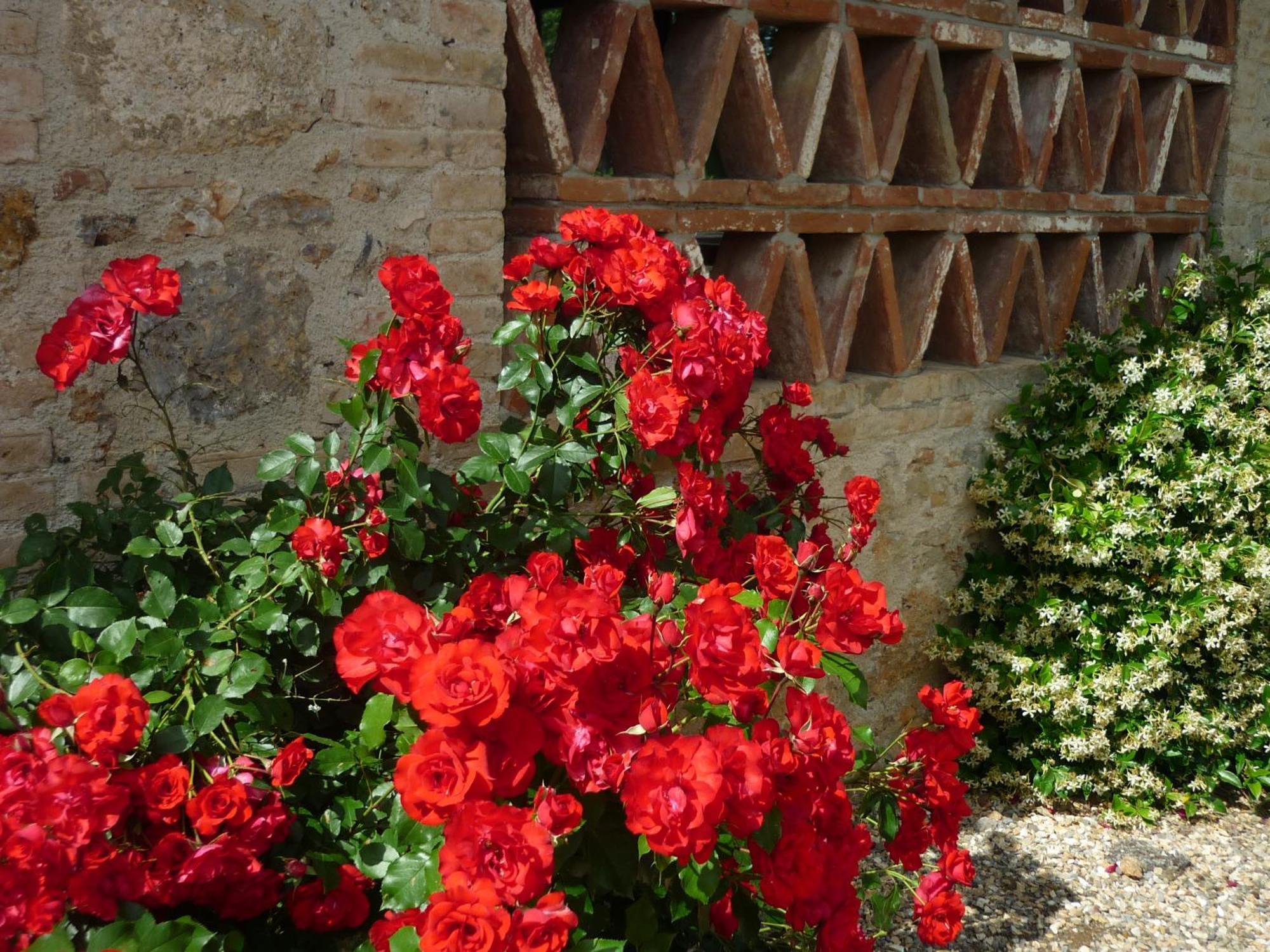 Вілла Fattoria Agriturismo Nerbona Казоле-д'Ельса Екстер'єр фото