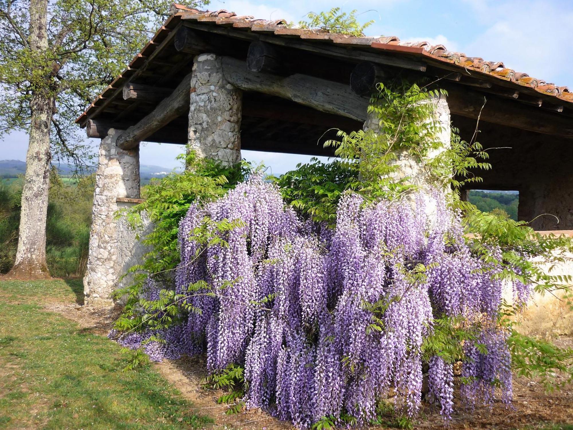 Вілла Fattoria Agriturismo Nerbona Казоле-д'Ельса Екстер'єр фото